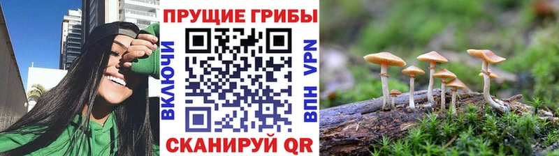 даркнет сайт  Красный Холм  Псилоцибиновые грибы мухоморы 